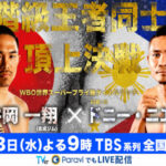 Cartel promocional del evento Kazuto Ioka vs. Donnie Nietes II